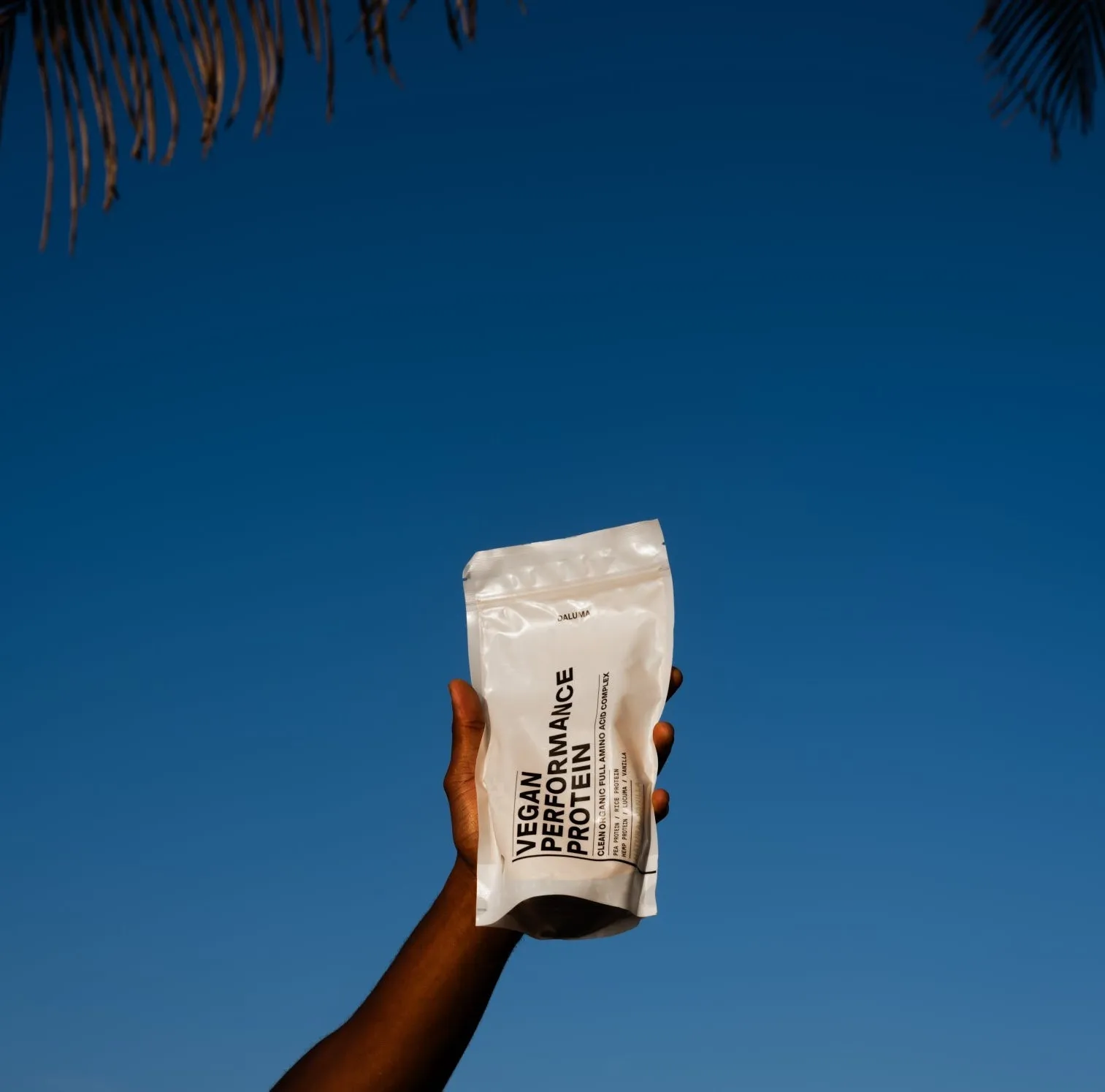 VEGAN PERFORMANCE PROTEIN NEUTRAL